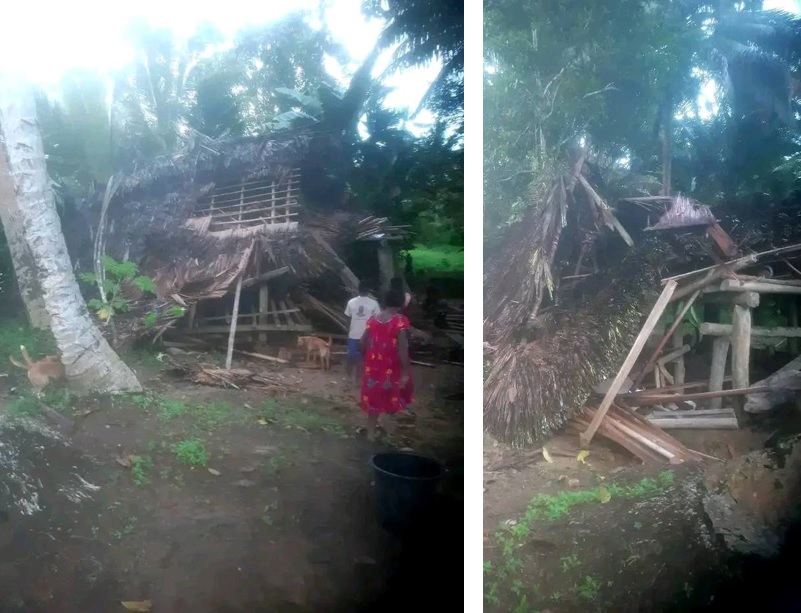 terremoto papua nuova guinea