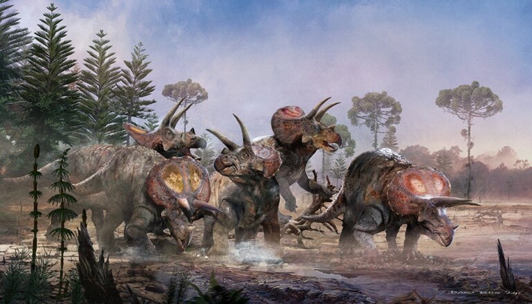 triceratopi