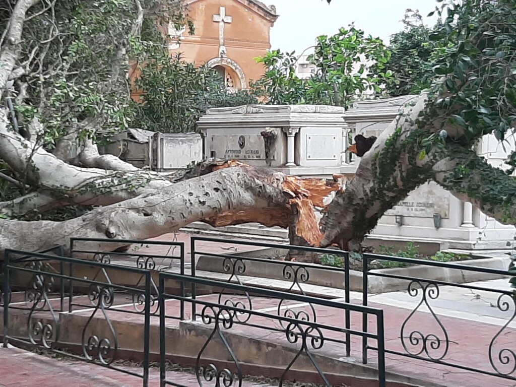 vento forte marsala