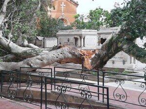 vento forte marsala