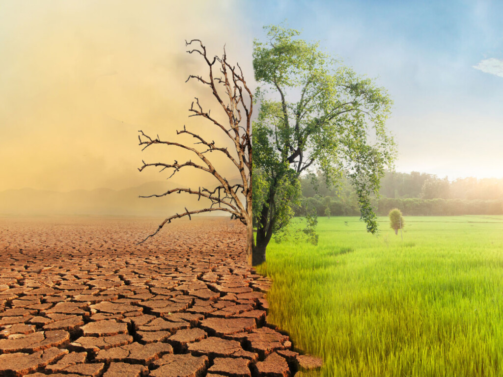 Crisi Idrica Agricoltura siccità