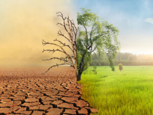 Crisi Idrica Agricoltura siccità