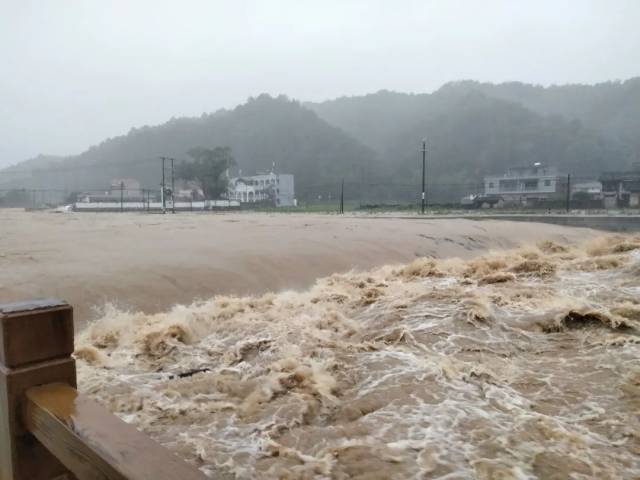 alluvione piogge guangdong cina