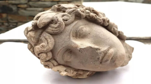 testa apollo