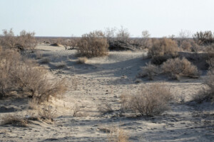 deserto Aralkum
