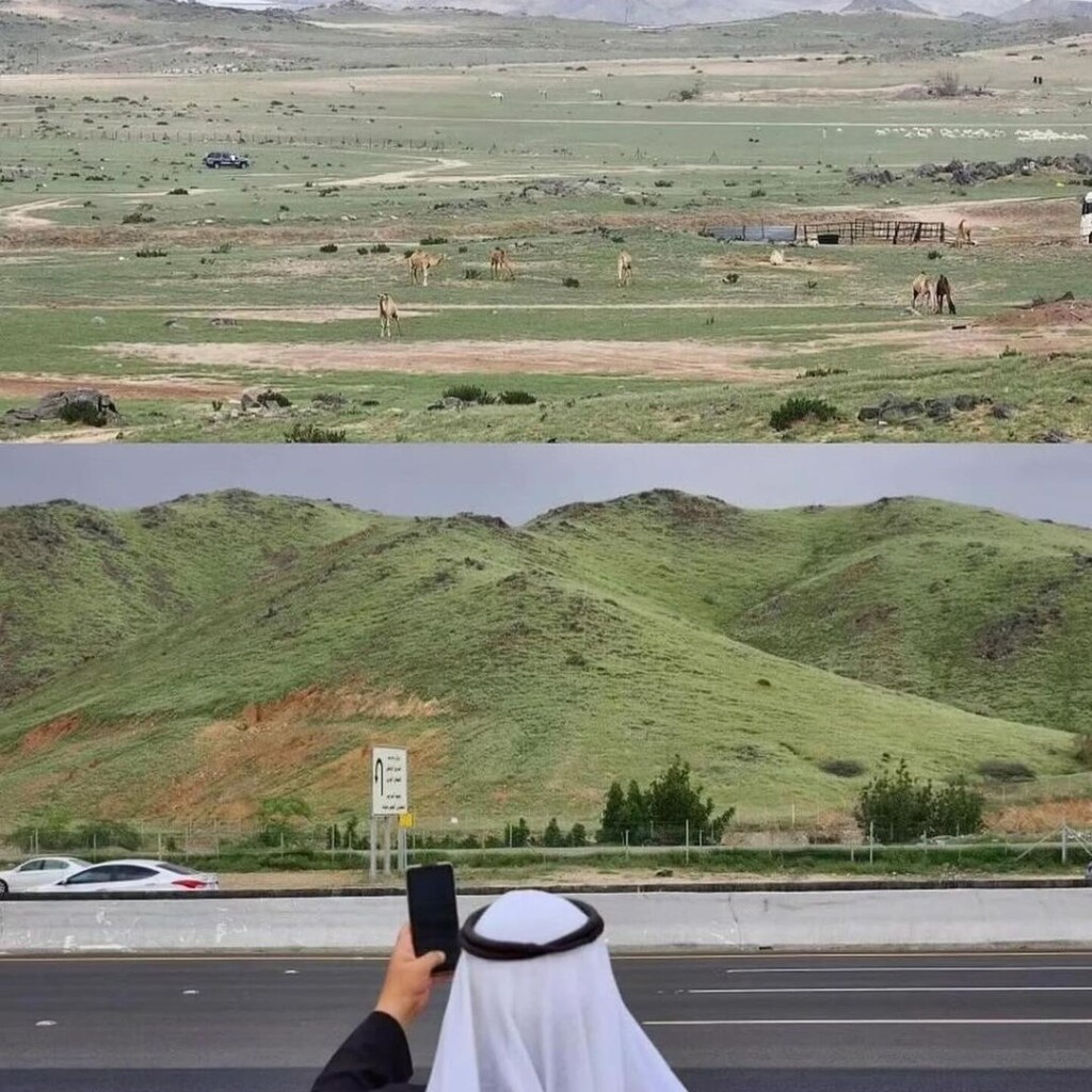 deserto piogge arabia saudita