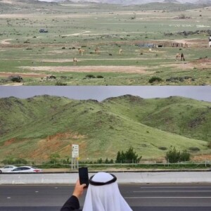 deserto piogge arabia saudita