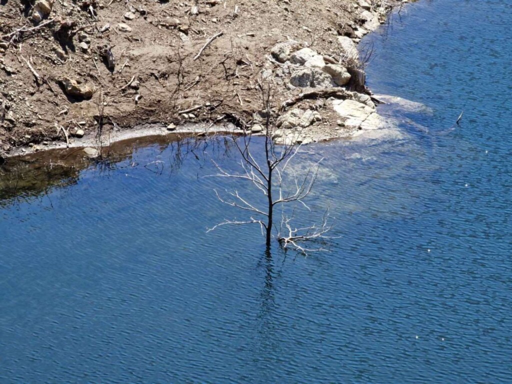 diga del menta 6 aprile 2024