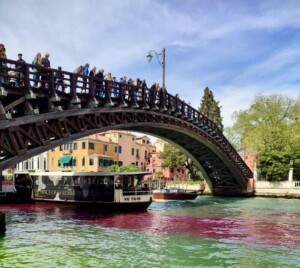 extinction rebellion venezia