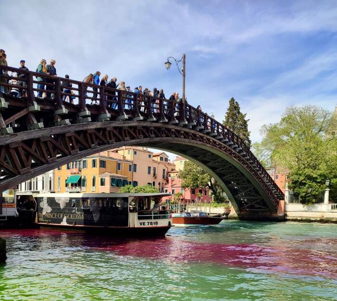 extinction rebellion venezia