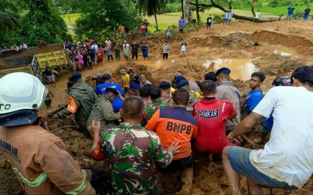 frana sulawesi indonesia