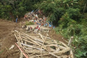 frana sulawesi indonesia