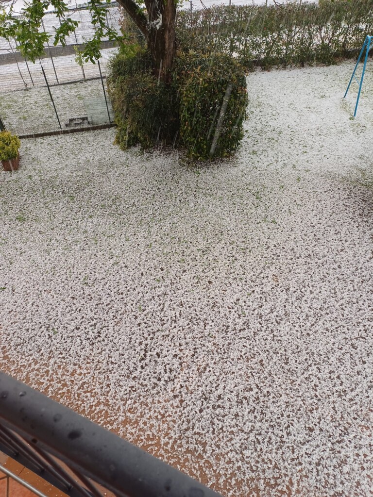 grandine orgiano veneto