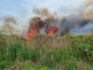 incendio peschici