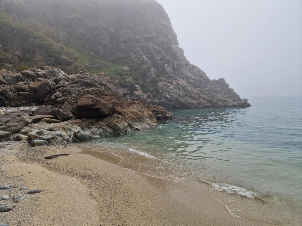 lupa di mare coccorino
