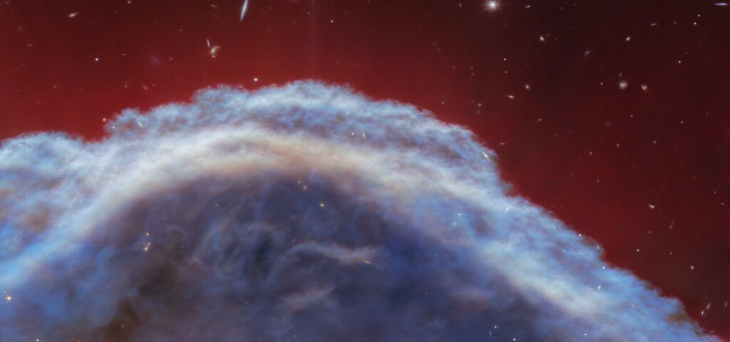 nebulosa testa di cavallo