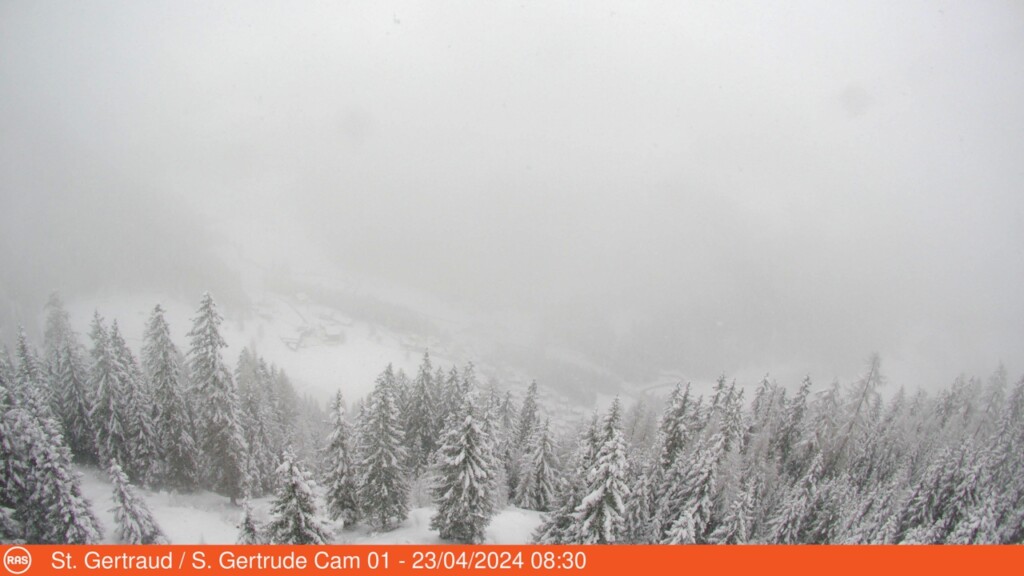 neve alto adige