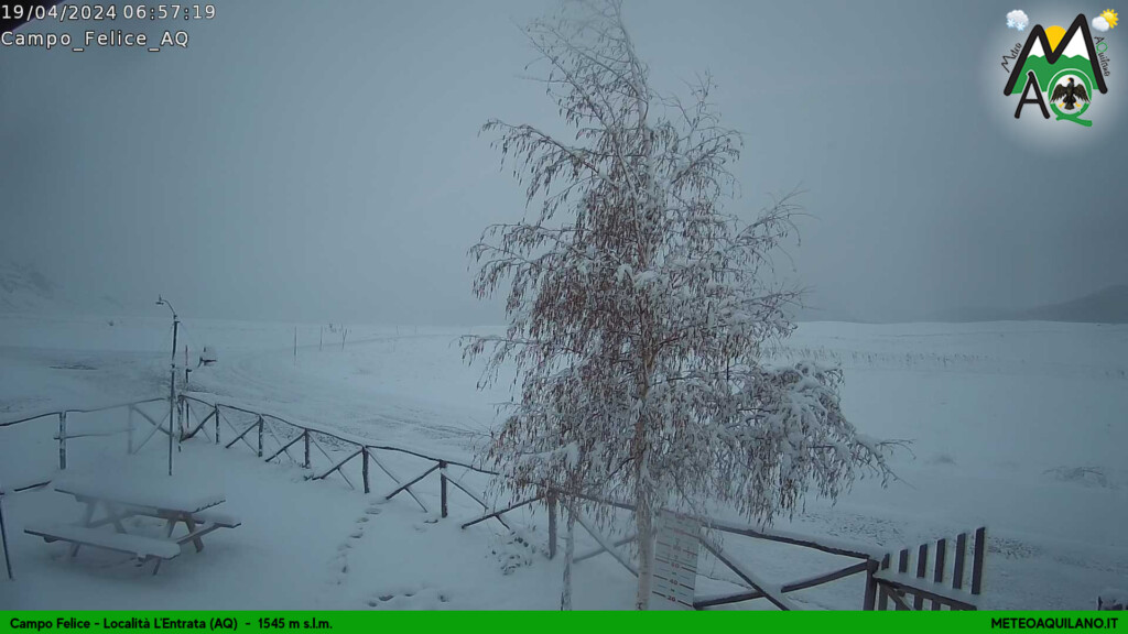 neve oggi