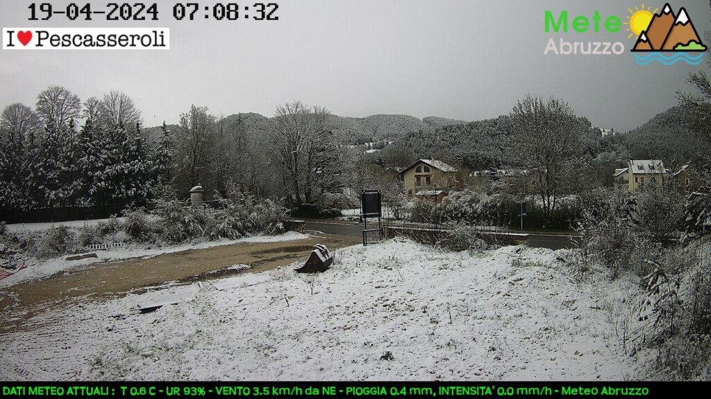 neve oggi