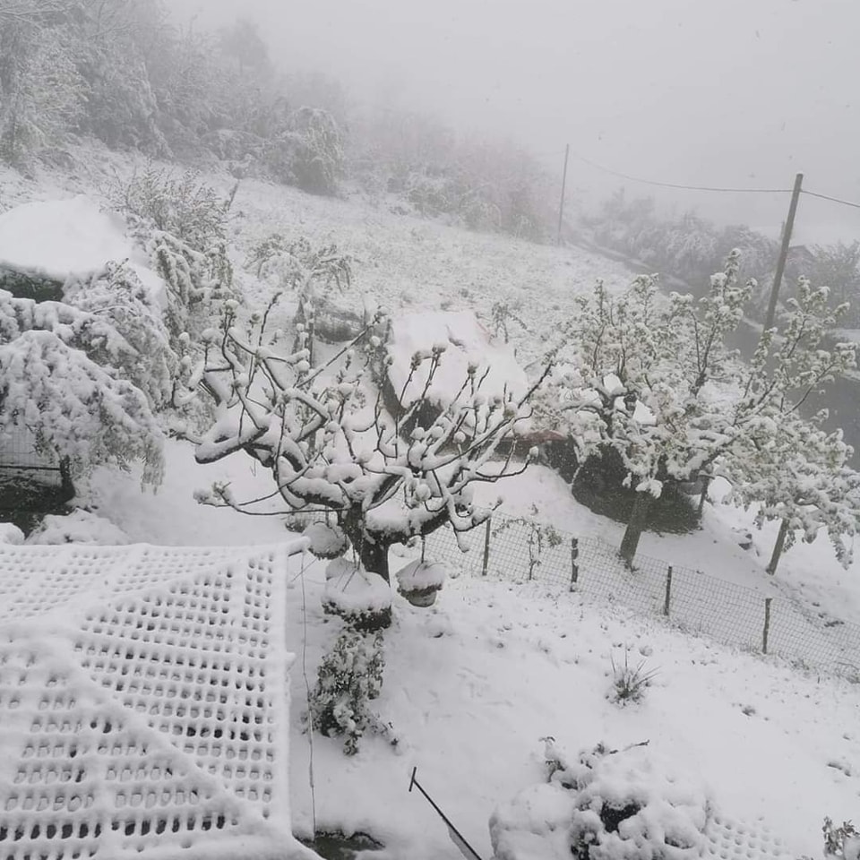 neve oltrepò pavese