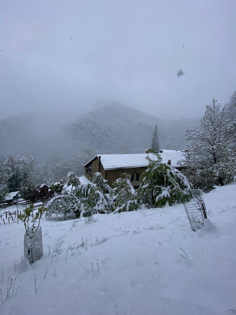 neve piemonte oggi