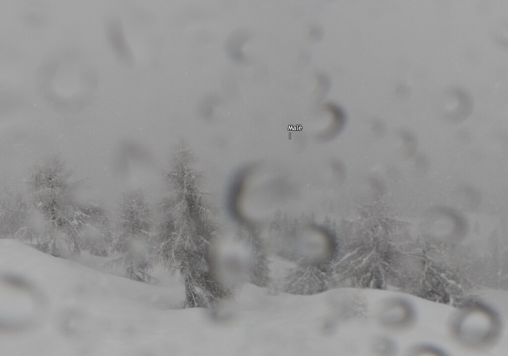 neve trentino