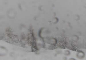 neve trentino