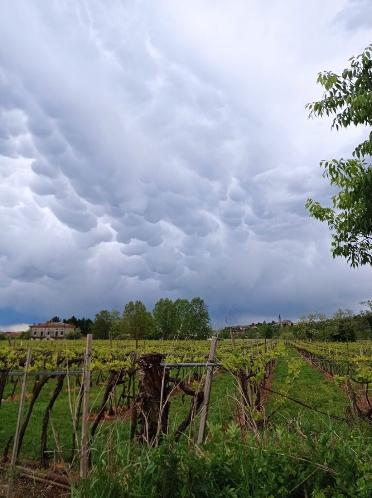 nubi mammatus veneto