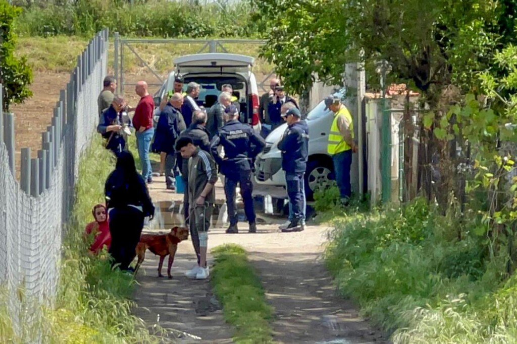 pitbull salerno eboli bambino attacco