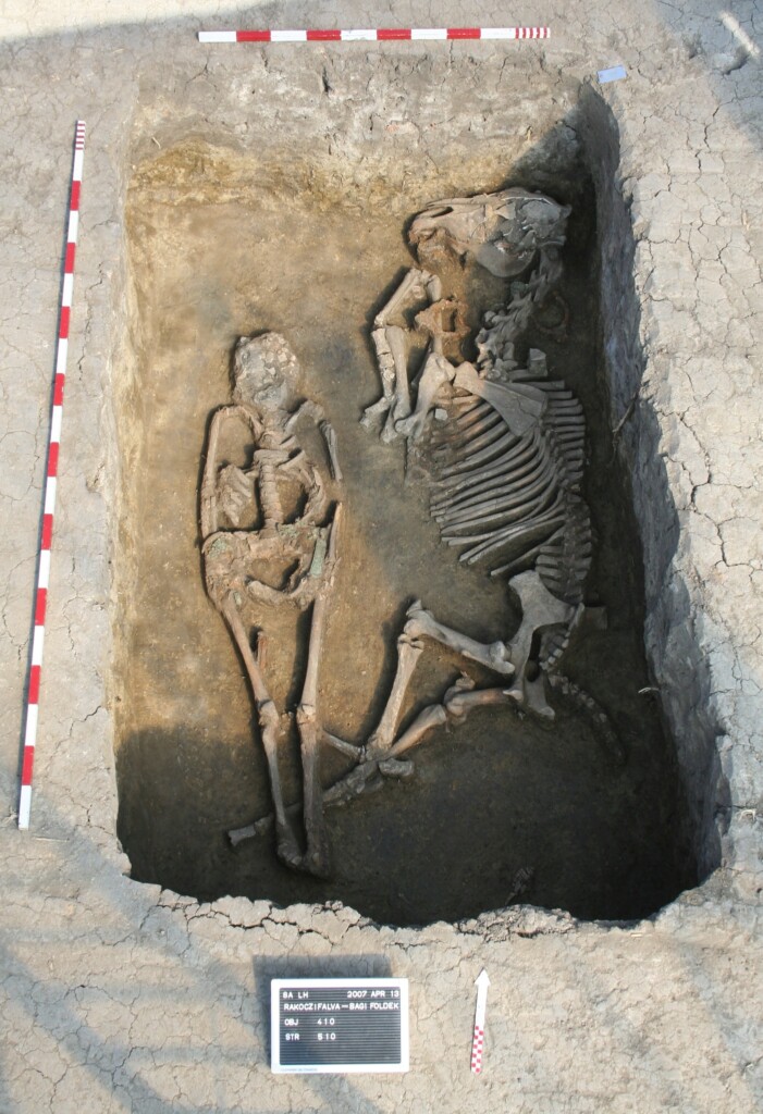 scheletri avari ungheria