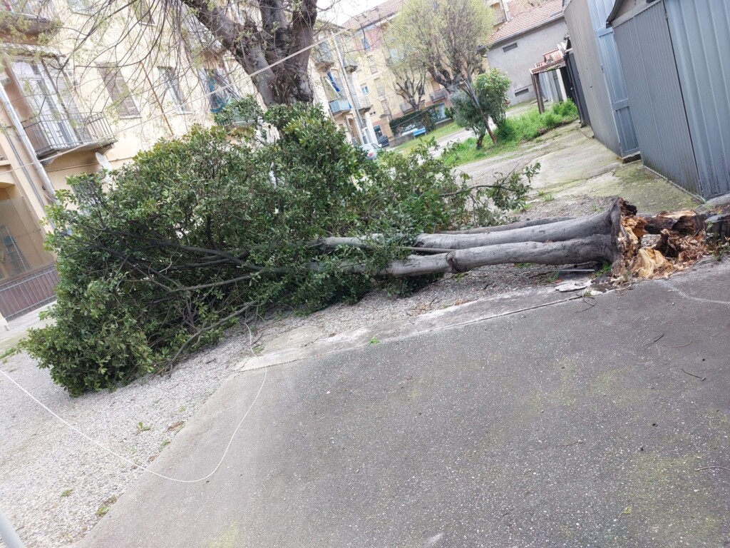 vento nel pavese