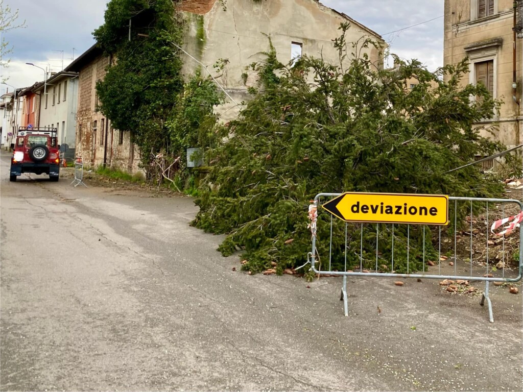 vento nel pavese