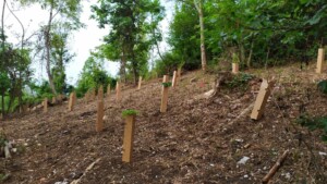 Ancora Natura per l’Altopiano