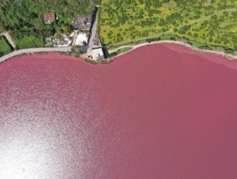Fioritura cianobatteri dall'alto lago d'Averno