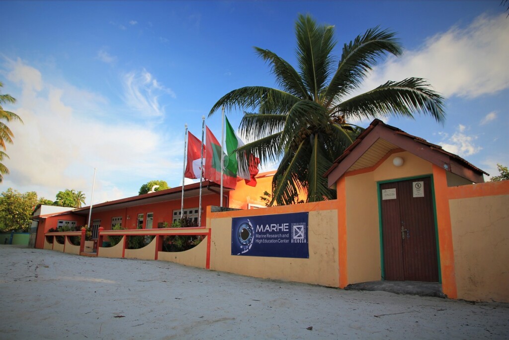 MaRHE corali giganti Maldive
