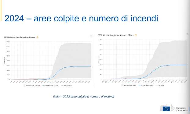 incendi boschivi UE