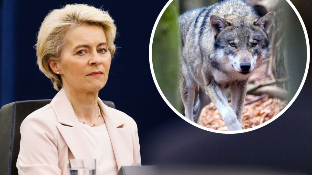 Ursula von der Leyen lupo