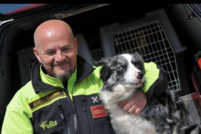 cane galassia vigili fuoco