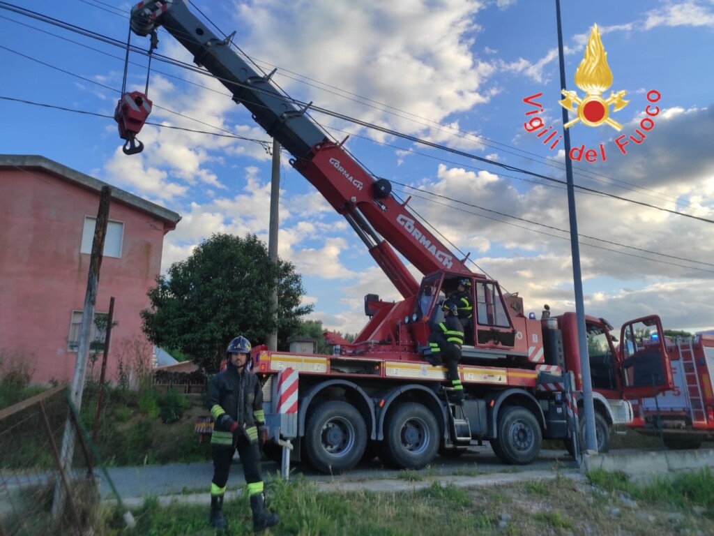 cavallo pozzo crotone