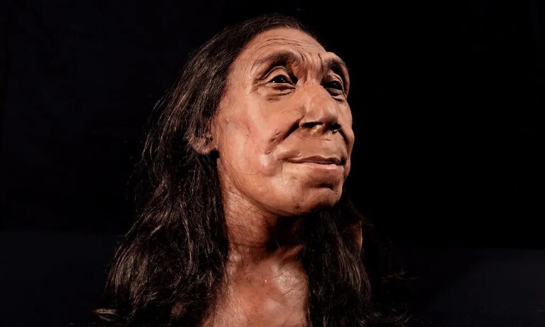 donna neanderthal