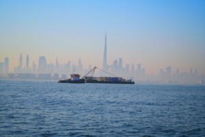 dubai coral reef