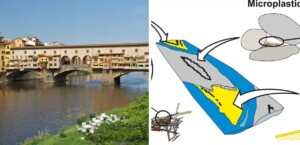 fiume arno