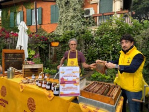 giornata api