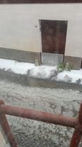 grandine mondovì