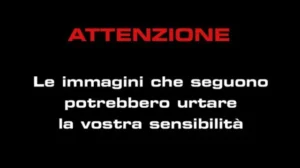 immagini sensibilità