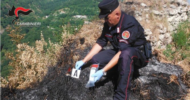 incendi boschivi presila