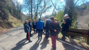 intesa foreste casentinesi