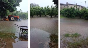 maltempo campi agricoltura