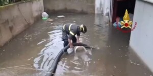 maltempo vigili del fuoco