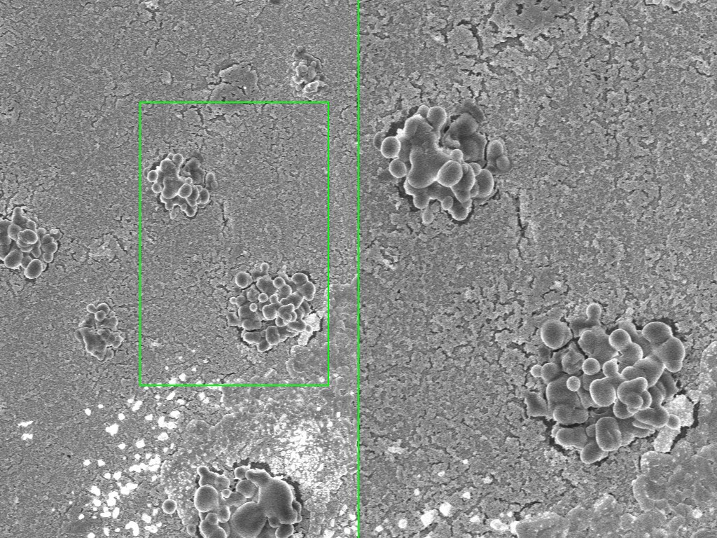microplastiche microonde